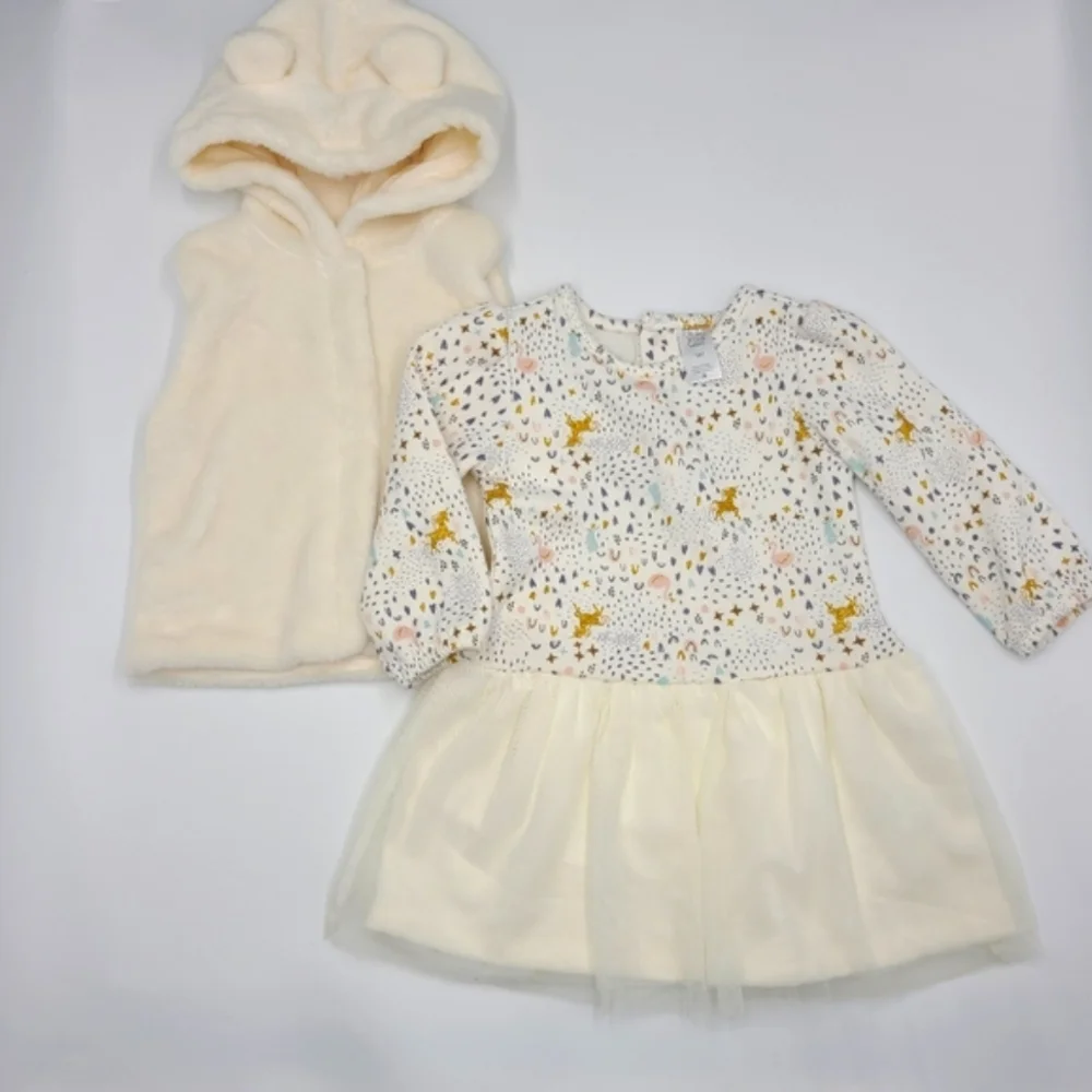 Carter's baby girl dress and vest size 18 months